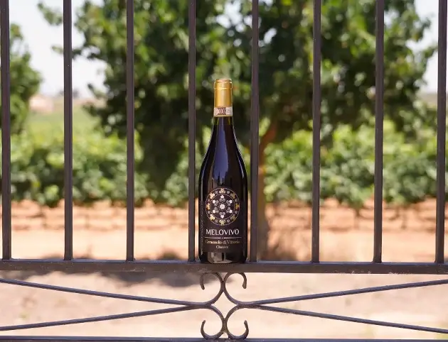 tenuta-bonincontro-home-4